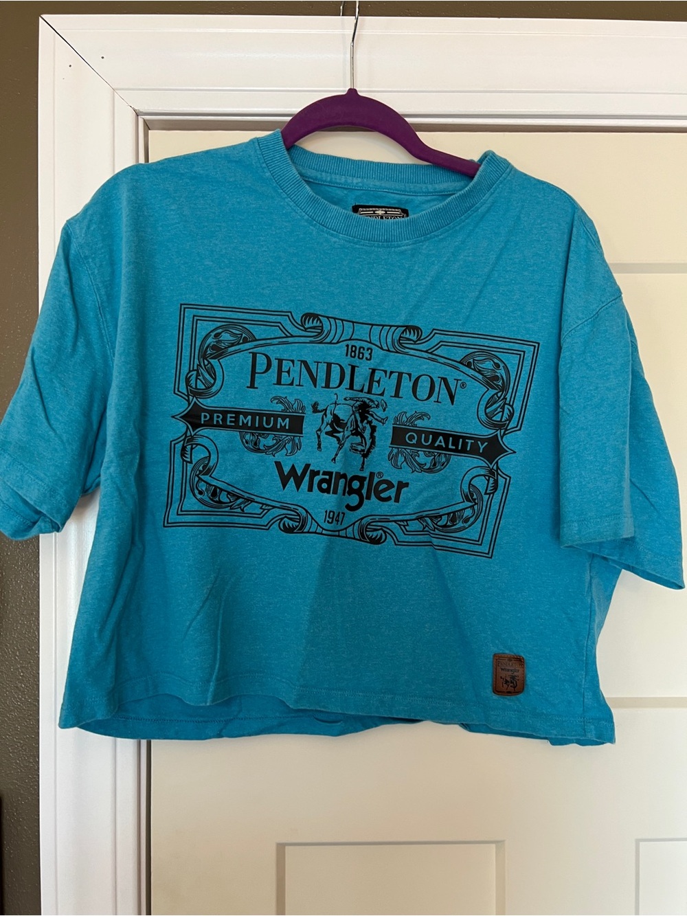 Wrangler x Pendleton Cropped Blue/Teal Graphic Tee